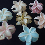 Pastel flower claw clip